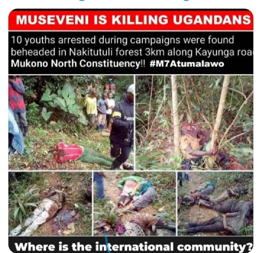 lukben01's tweet photo. @anticorruption @USAID @IWatchTN @OCCRP https://t.co/LTGmY0zuh5
