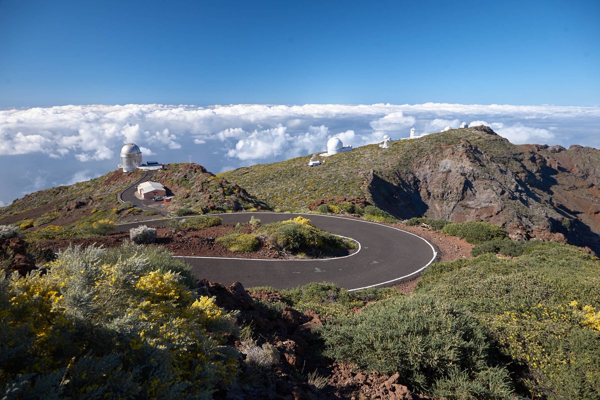 bestrural_spain's tweet photo. ❤️ Nuestro cariño para la maravillosa gente de La Palma. Mucho ánimo!! 💪 

@visitalapalma @canarias_es #laislabonita #lapalma #latituddevida #naturaleza #turismoespaña #turismorural https://t.co/ny0b2zaAUt