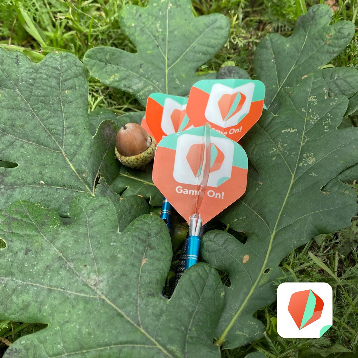 GameOnDartsApp's tweet image. 𝘿𝙚 𝙝𝙚𝙧𝙛𝙨𝙩 𝙞𝙨 𝙗𝙚𝙜𝙤𝙣𝙣𝙚𝙣! 🍂

Tijd om binnen een potje darts te spelen met de Game On! app. 

App Store ➡️ bit.ly/GameOn-iOS
Play Store ➡️ bit.ly/GameOn-Android

#gameon #darts