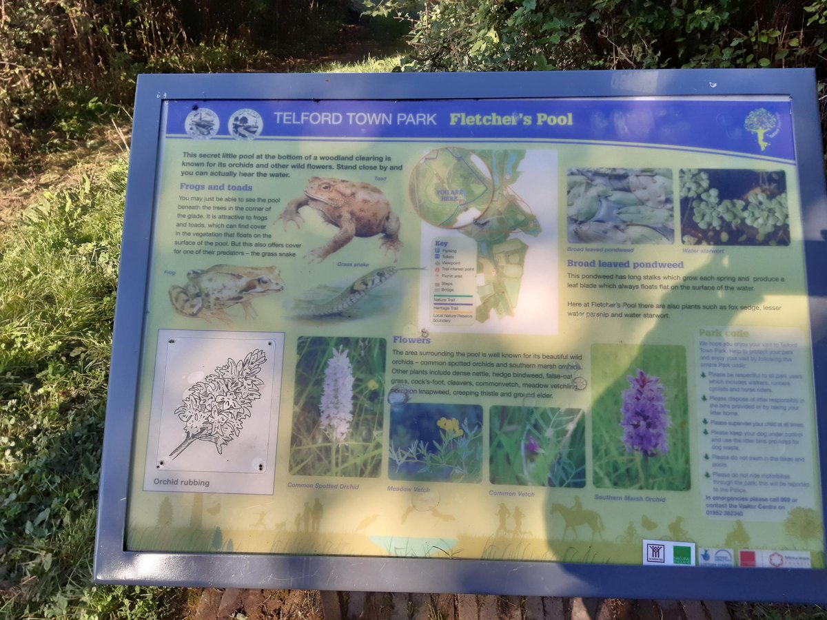 mpftcld's tweet photo. Some more pictures as the LD Shropshire team walk around Telford Town Park Heritage trail as part of Soothe Week. Really pleasant hour getting fresh air and a boost of energy with colleagues. Nice to get out and great to meet up face to face.
#bigSOOTHEweek #mpftcld https://t.co/O1lKnB7xSV