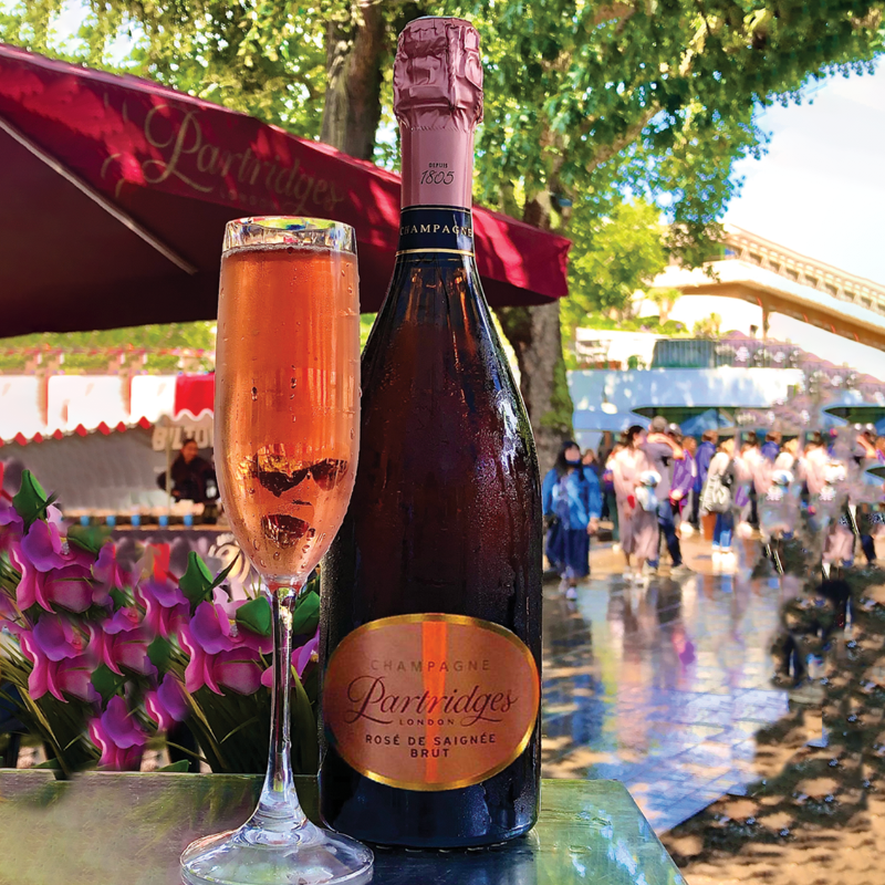SilksPR's tweet photo. News & Uplifting Ideas - This week's newsletter celebrates all things NEW... New Members, a New cashmere collection, a New rosé Champagne, a New chiropractic clinic, a New competition and a New charitable initiative, all via https://t.co/yCw2Zlgvz4 https://t.co/JWSWmnCLlZ