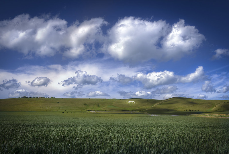 VisitWiltshire tweet media