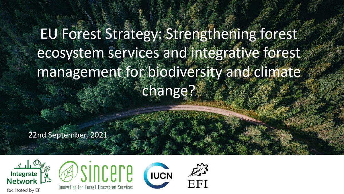 We're just starting our #SINCEREtalks webinar on the EU Forest Strategy - what does it mean for forest ecosystem services and integrative forest management? With @europeanforest @IUCNBrussels @efiresilience @efimedfacility #sincereforests #integratenetwork