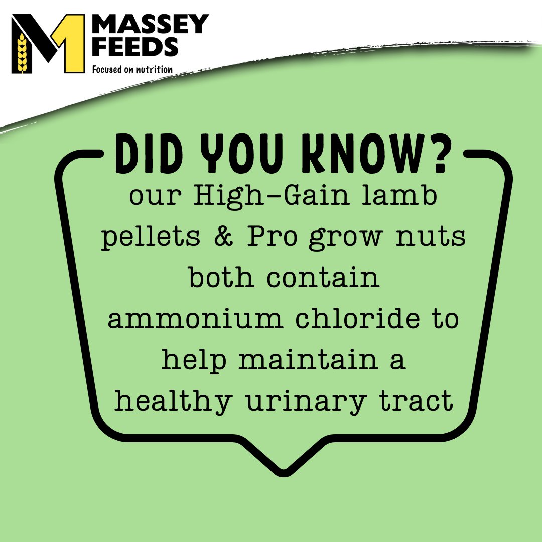 MasseyFeeds's tweet photo. This is good to know ππ
#masseyfeeds #focusedonnutrition #focusedonsheep #focusedonewe #wednesdaywisdom https://t.co/AY0M5yYkRA