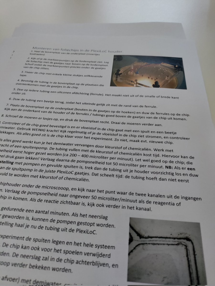 Irene Bos tweet media