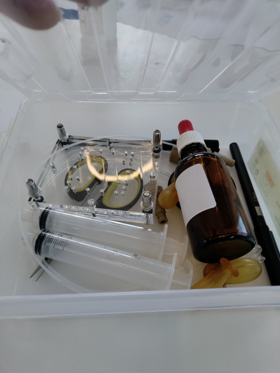 Irene Bos tweet media