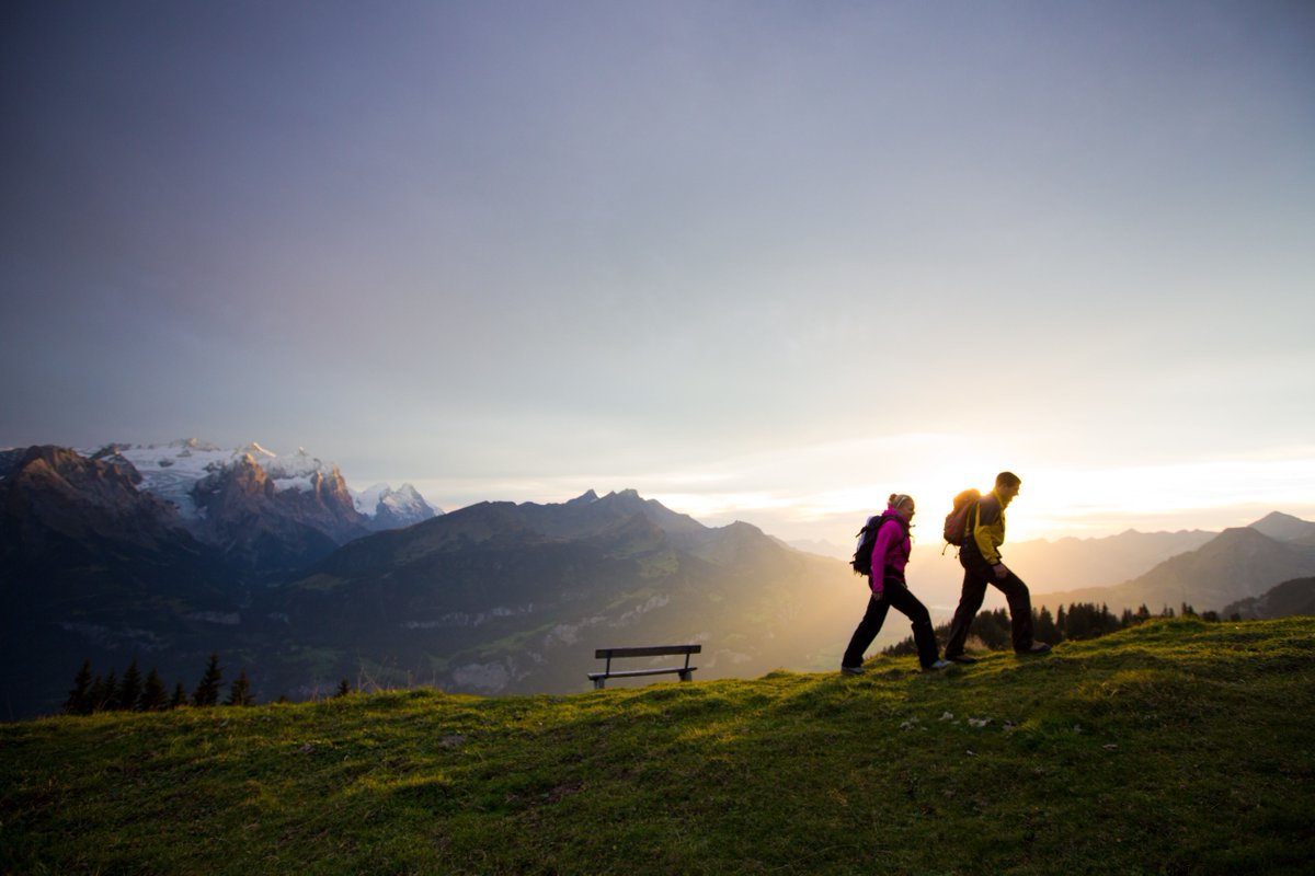 JungfrauRegion's tweet photo. Do you want to know the differents trip destinations in the Jungfrau Region, for families, bad weather or something with water?
▶️ https://t.co/yf2i06nRKs
@Haslital | @murren007 | @MyLauterbrunnen | @WengenSwiss | @GrindelwaldCH
#DiniWält #jungfrauregion #tripdestination https://t.co/HiSIcqRSlK