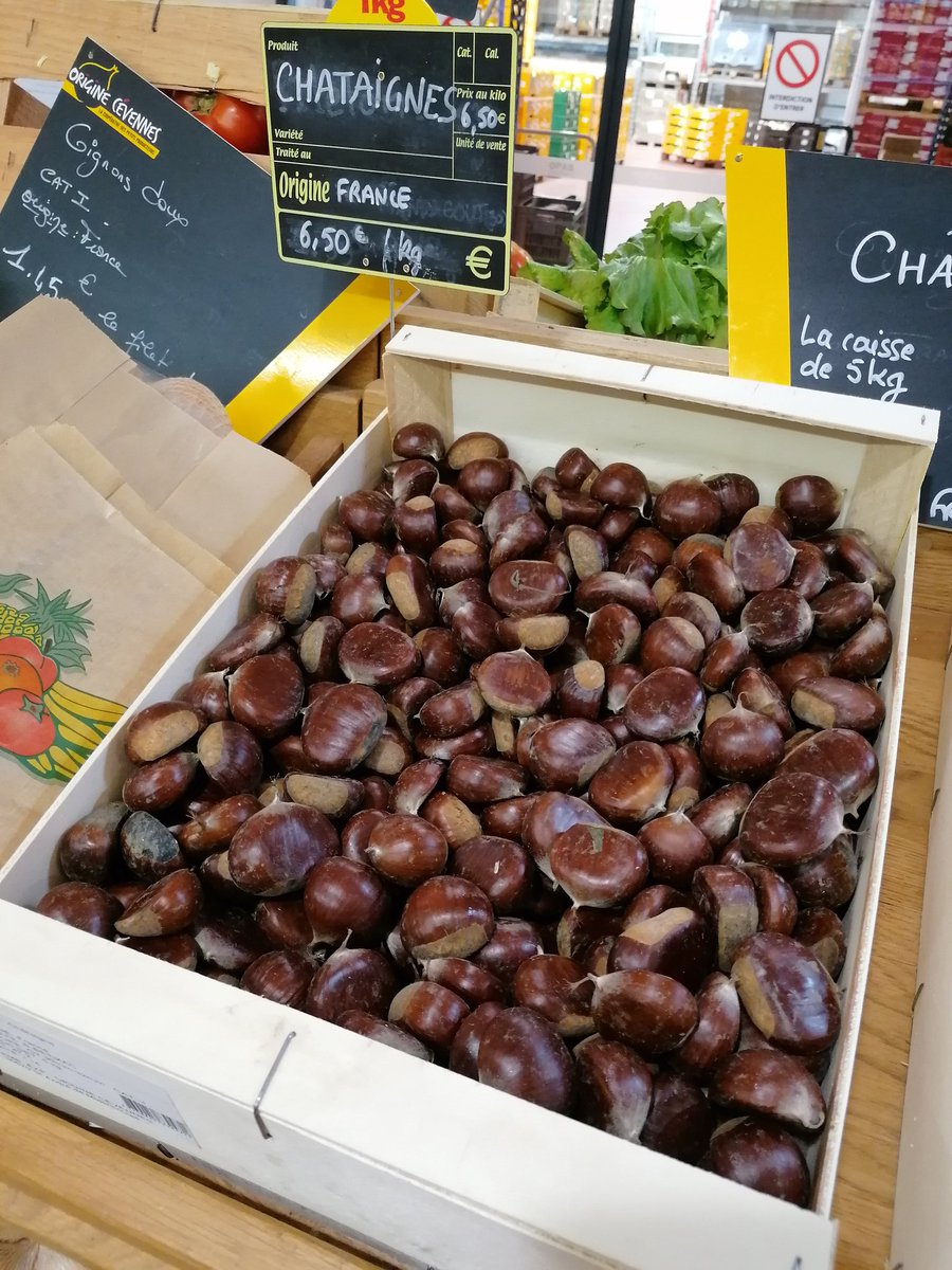 OrigineCevennes's tweet photo. @Gard @GardTourisme @PnCevennes @ReseauCivam @Chambagri30 Une belle saison pour la 🌰 💚 https://t.co/pKhFM5Ixvb