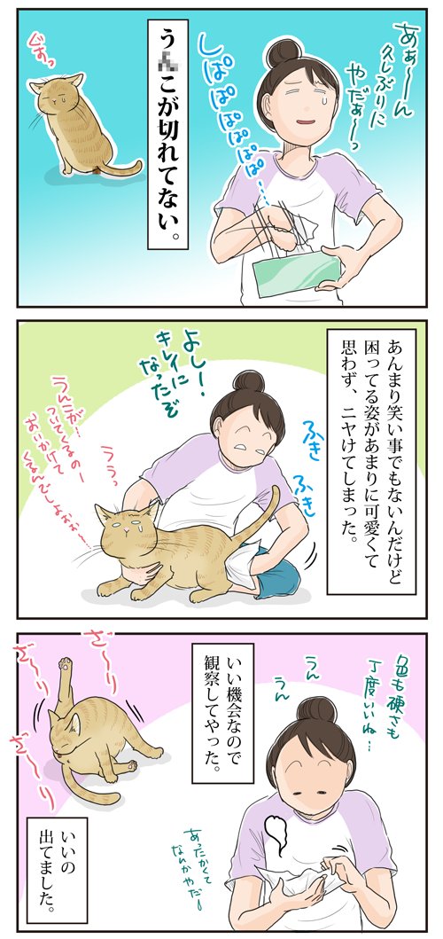 最速 Twitter 猫 漫画 人気