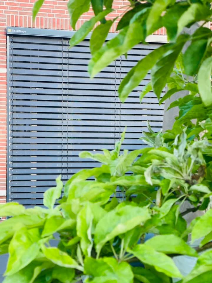 Farewell, summer!
This year's Fall Equinox falls on Sept. 22 to mark the astronomical beginning of autumn.
But don't rush to say goodbye to solar power generation as well because solar panels work even better when it's cool outside as soon as it's still sunny🌞