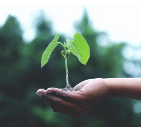 Hear from a great panel of guests including <a href="/AlisonLiebling/">Alison Liebling</a> <a href="/drdommoran/">Prof Dominique Moran 💙</a> &amp; colleagues like Gov. <a href="/HMPWarrenHill/">HMP Warren Hill "Conditions of Success"</a> discuss the important role prison environments play in creating the right conditions for rehabilitation &amp; wellbeing

🎟hmppsinsights.co.uk/virtual-events/
📆Oct. 13th ¦ Online ¦ Free