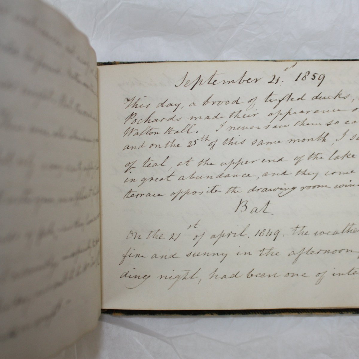 Wakefield Museums & Castles (@wfmuseums) on Twitter photo Waterton recorded nearly 40 years of #Wakefield wildlife in his notebook, from 1826 when he finished the wall around the park until his death in 1865. It's a unique insight into the bird populations in #Walton at the time and is used by <a href="/AnglersPark/">Anglers Country Park</a> rangers today. #EarthFestWFD Waterton recorded nearly 40 years of #Wakefield wildlife in his notebook, from 1826 when he finished the wall around the park until his death in 1865. It's a unique insight into the bird populations in #Walton at the time and is used by <a href="/AnglersPark/">Anglers Country Park</a> rangers today. #EarthFestWFD