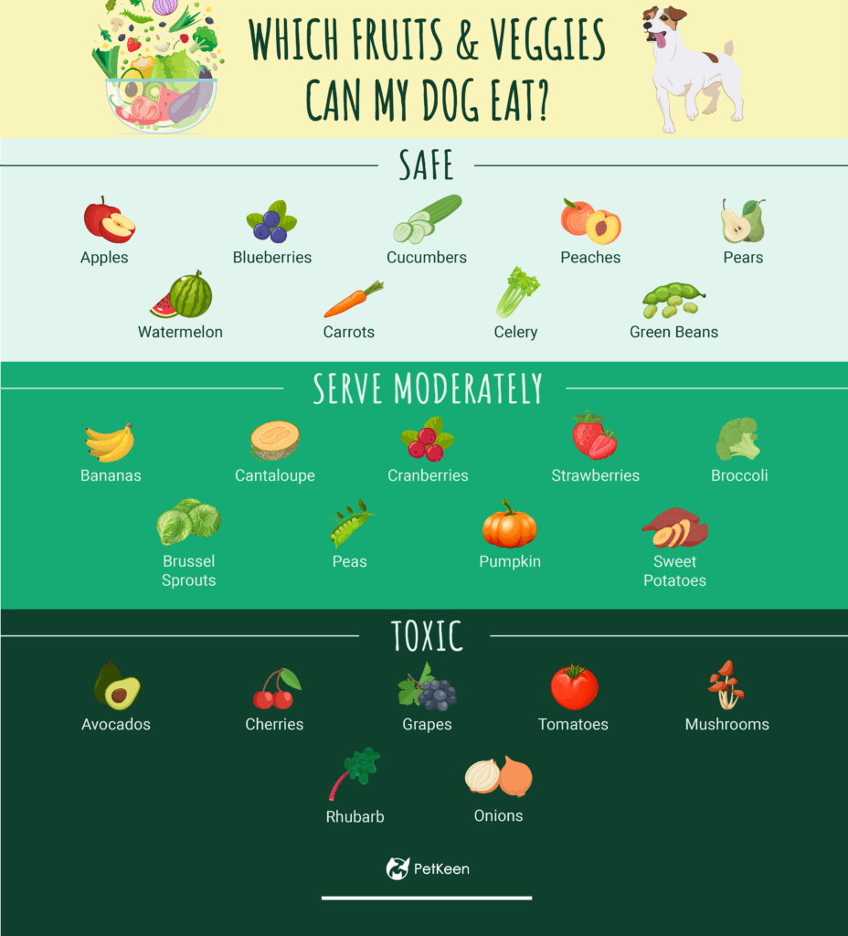 Our pet-friends over at PetKeen.com made this amazing infographic about safe and unsafe fruits and veggies for #dogs 

So informative! 🍎🥑🥦🥕🍌🍒

#dogsoftwitter #veggies #dogsarelove #SafetyFirst