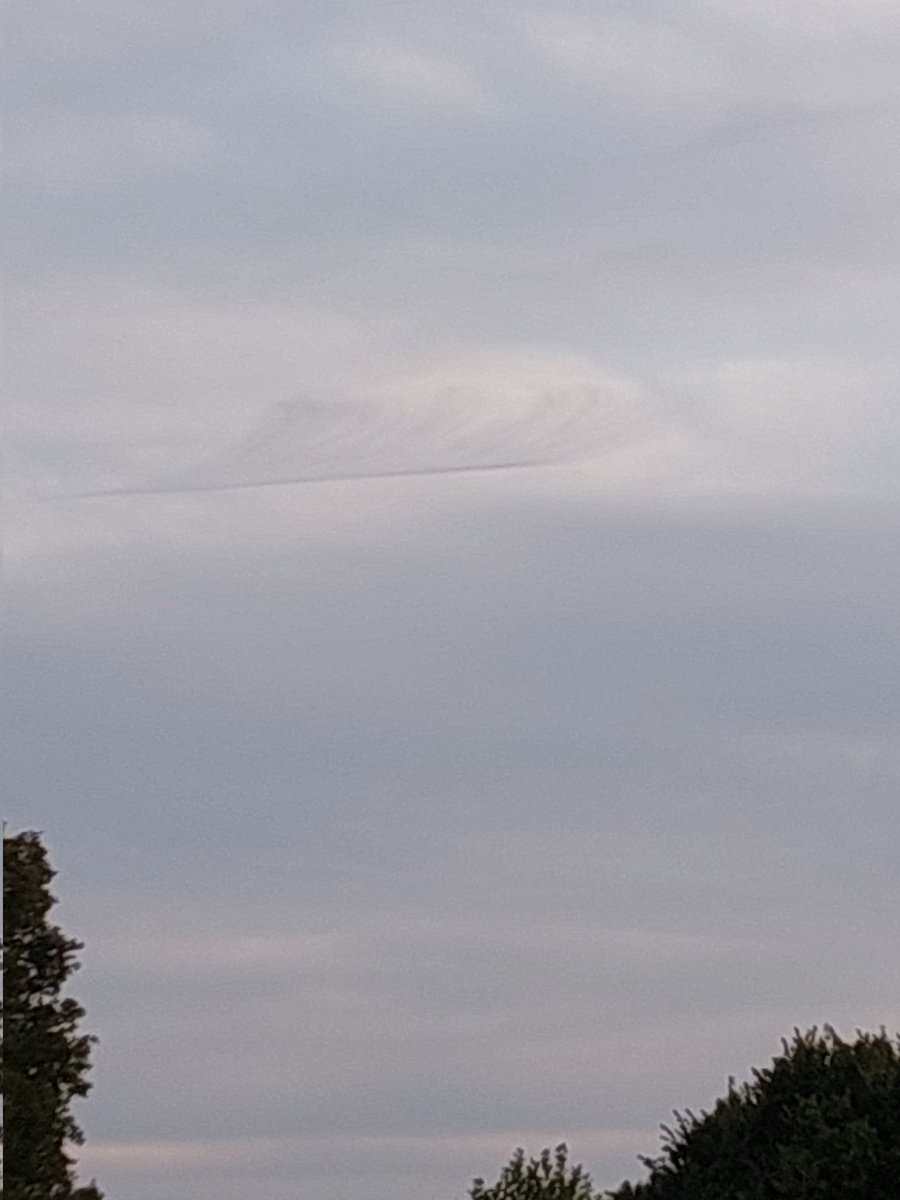 Gisteren eind van de dag, samen met mijn vrouw aan genieten. Het viel ons op dat we een aantal 'veren' aan het zwerk zagen. Wel bijzonder.
Andere kant ook wel verontrustend, het zijn gewoon uitlaatgassen van het vliegverkeer.