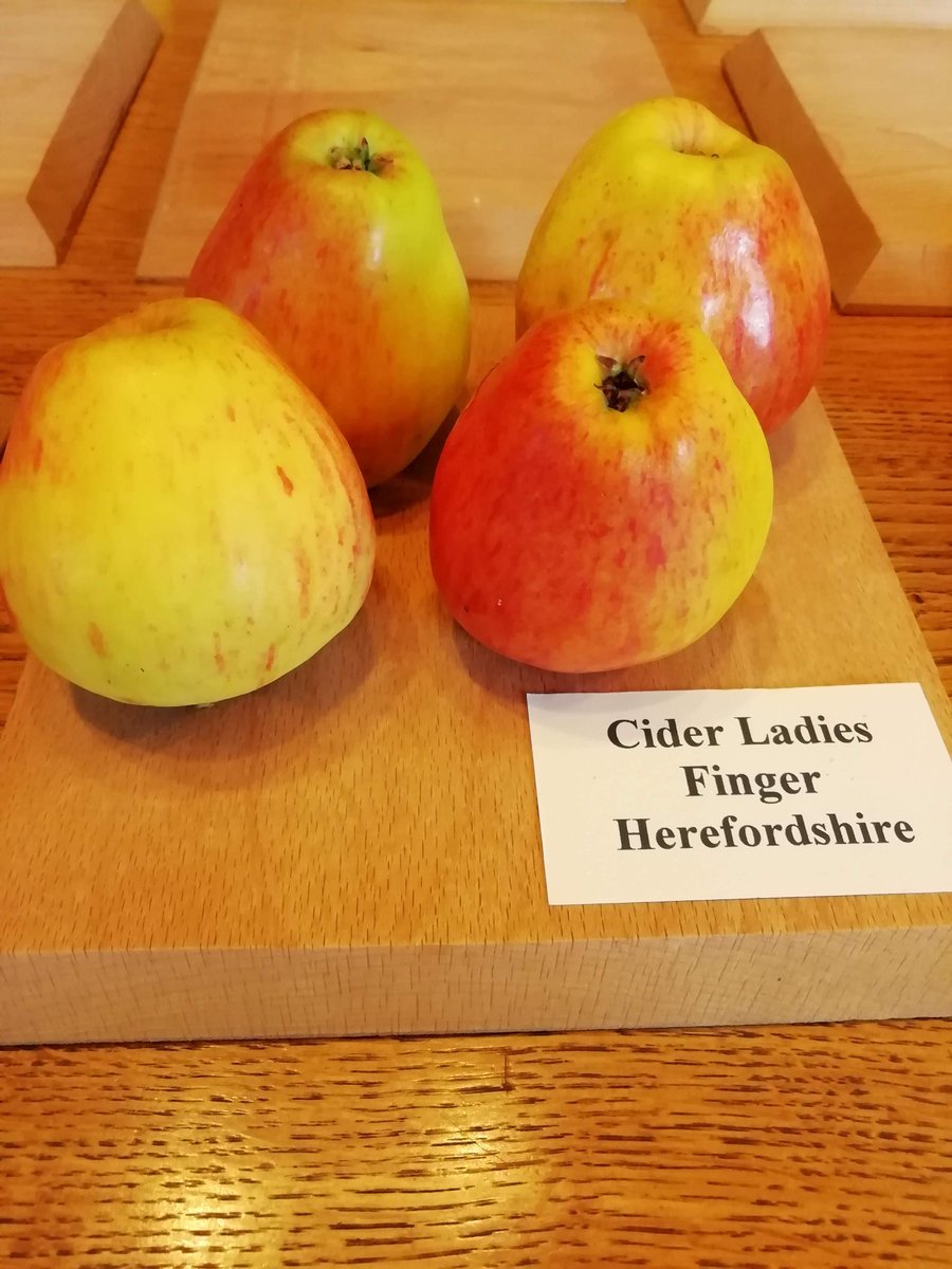 homeofcider's tweet photo. From the 15th October we will have a larger than ever display of cider and dessert apples on show in memory of our trustee and orchard specialist Gillian Bulmer. https://t.co/5g5OJOOE6s