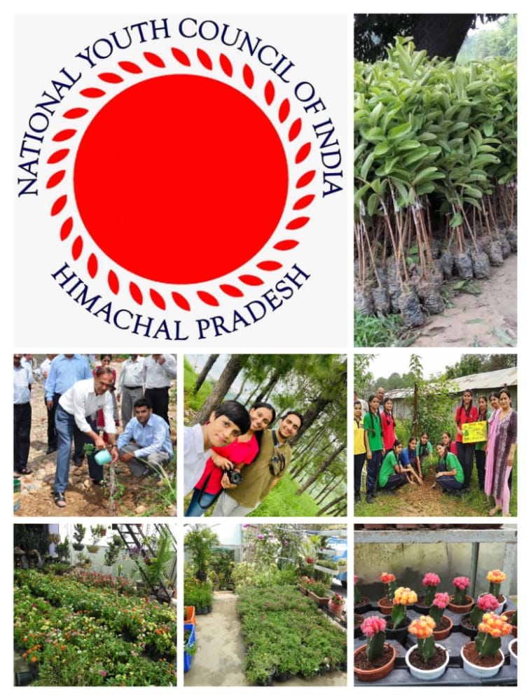 Nyci4india's tweet photo. On the account of the birthday of our National President @amarprasadreddy , NYCI Himachal Pradesh planted a total of 60 plant saplings with the help of the DPS Hamirpur staffs &amp; a bunch of enthusiastic and energetic students.

#nyci4india #HappyBirthdayAPR  #GoGreen #India #Youth https://t.co/A6mkFP8nzc