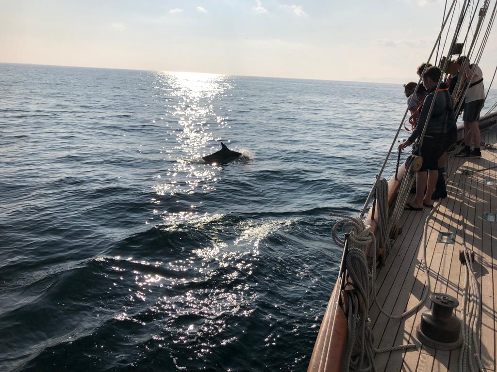 WhitgiftSchool1's tweet photo. At the end of August, a group of eight pupils from Third Form to Fifth Form enjoyed a liveaboard Sailing trip, accompanied by Mr Green (Geography teacher) and Mr Wall (Outdoor Education Assistant), as they work towards their Yachting Competent Crew. #WhitgiftTrips https://t.co/Sow7UHLMl4
