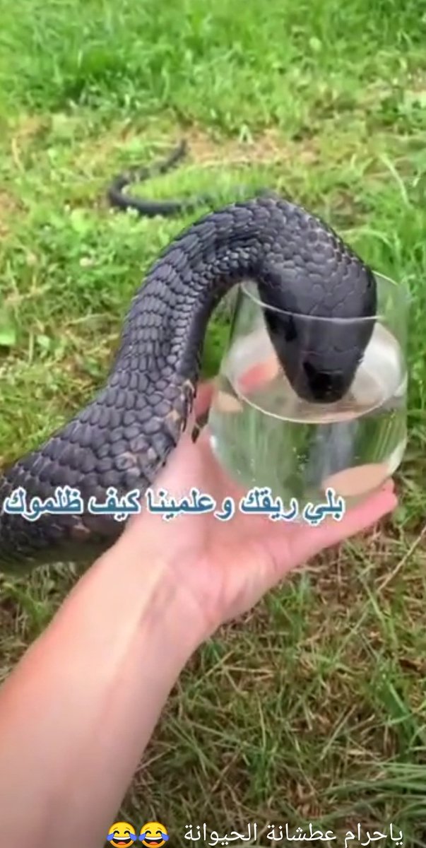 Mod9o's tweet image. عزيزي العميل كيف اقدر اخدمك