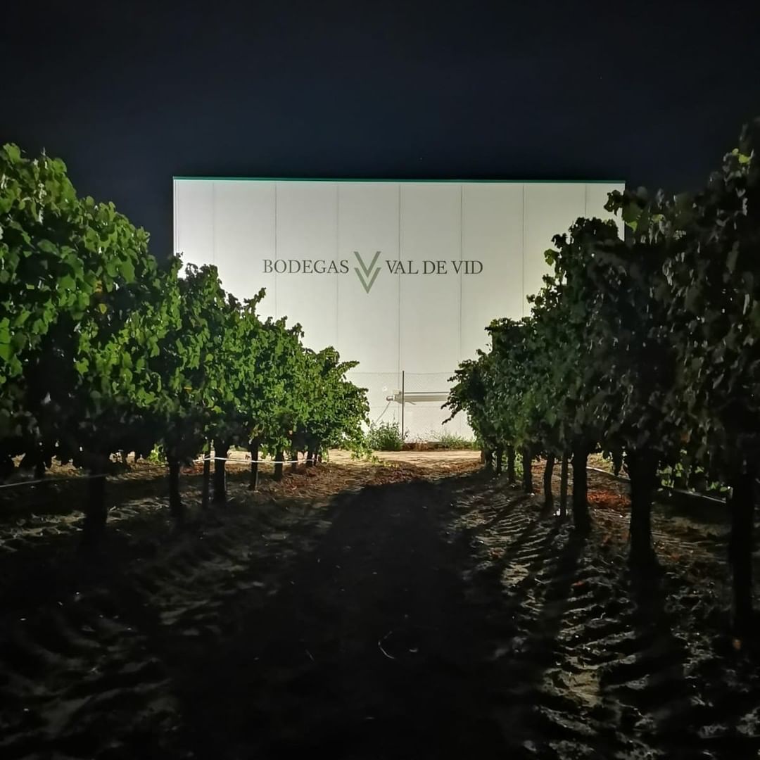 No hace falta decir mucho más. Los momentos más especiales, <a href="/ValdeVid_B/">Bodegas Val de Vid</a> y la vendimia nocturna 🌘