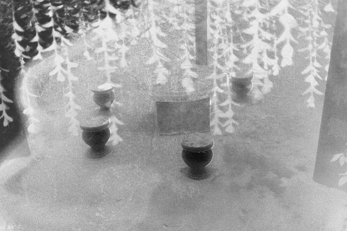 Offshoot Gallery tweet media