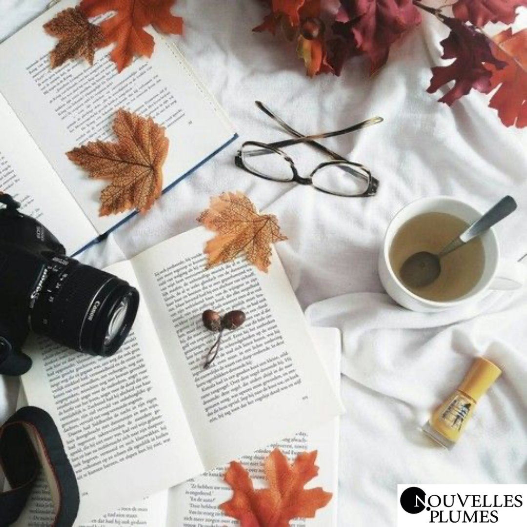 #Automne

Nous sommes officiellement en automne 🍁 Les petites villes se parent de teintes automnales. Les feuilles tombent, les nez rougissent, et les lecteurs commencent à s’emmitoufler avec un bon livre 😍

#NouvellesPlumes #autumn #Halloween #christmasiscoming #tree #fall