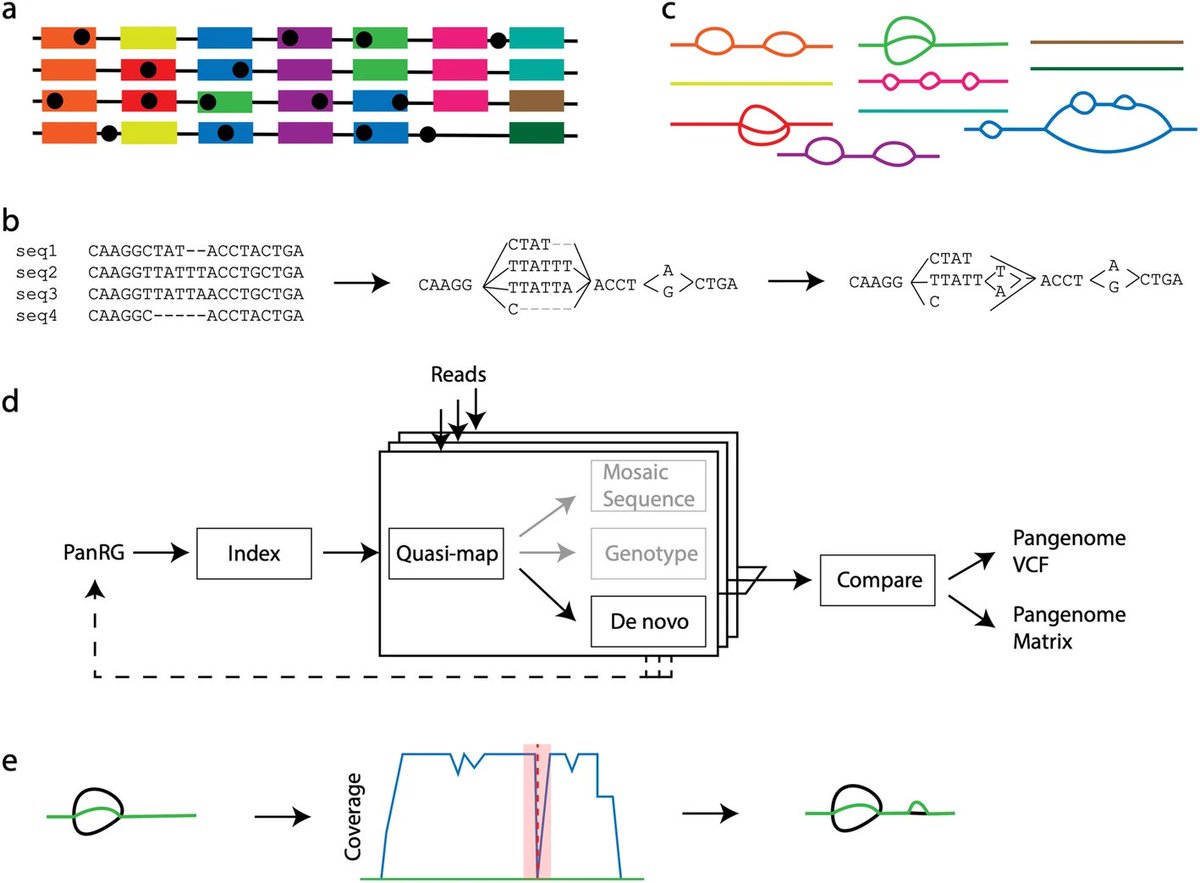 MColebrook's tweet image. Pandora: #nucleotide-resolution #bacterial #pangenomics with reference #graphs
doi.org/10.1186/s13059…
&amp;gt; #Genomics #Bioinformatics #Bioinformática