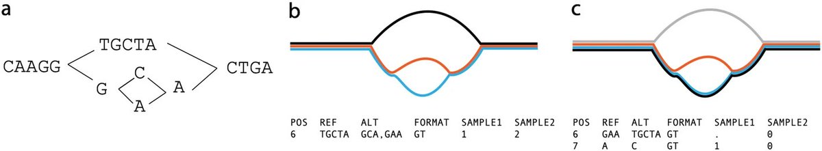 MColebrook's tweet image. Pandora: #nucleotide-resolution #bacterial #pangenomics with reference #graphs
doi.org/10.1186/s13059…
&amp;gt; #Genomics #Bioinformatics #Bioinformática