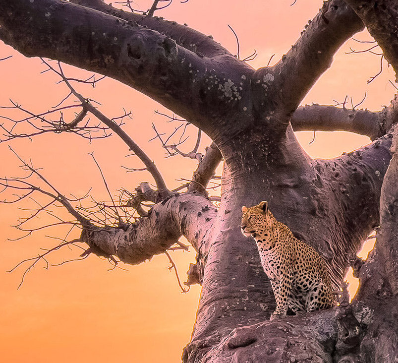 My iPhone 13 Pro Camera Review from Tanzania is live! Check it out. austinmann.com/trek/iphone-13…
#ShotoniPhone13Pro