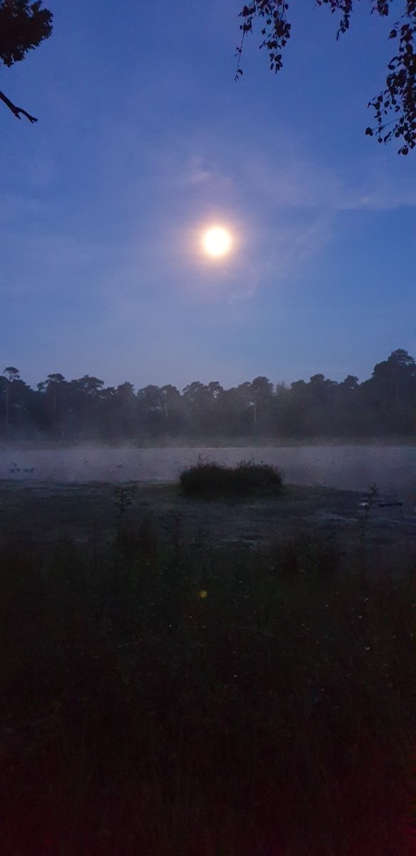 Magic moon.... #day3 #Avans #vitality