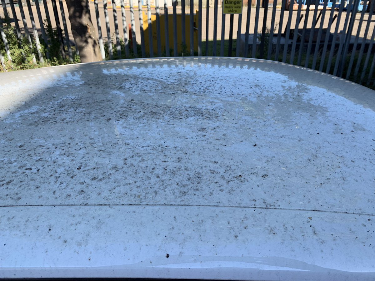 diamondacltd's tweet photo. When you’ve no choice but to park under a tree 😖 #smartforfour #smartcar #diamondacltd https://t.co/IMUJRheYgd