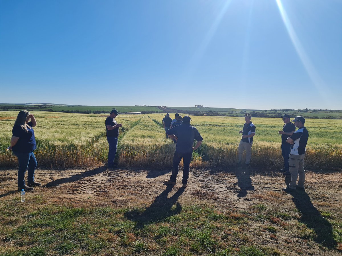 Final day we headed out to <a href="/Doctor_650/">Paul O'Meehan</a> <a href="/Butterfieldbeef/">Stirling Ranges Beef</a>. Followed by some trails with <a href="/kyranbrooks/">Kyran Brooks</a> Then we headed out to Lawson Grains to see <a href="/wylie_andrew/">Andrew wylie</a>. Been a great few days!