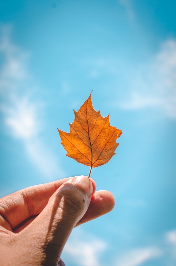 VuePay_'s tweet photo. Today is the September equinox meaning it’s the first day of autumn🍂 https://t.co/5PeeTVbzkQ