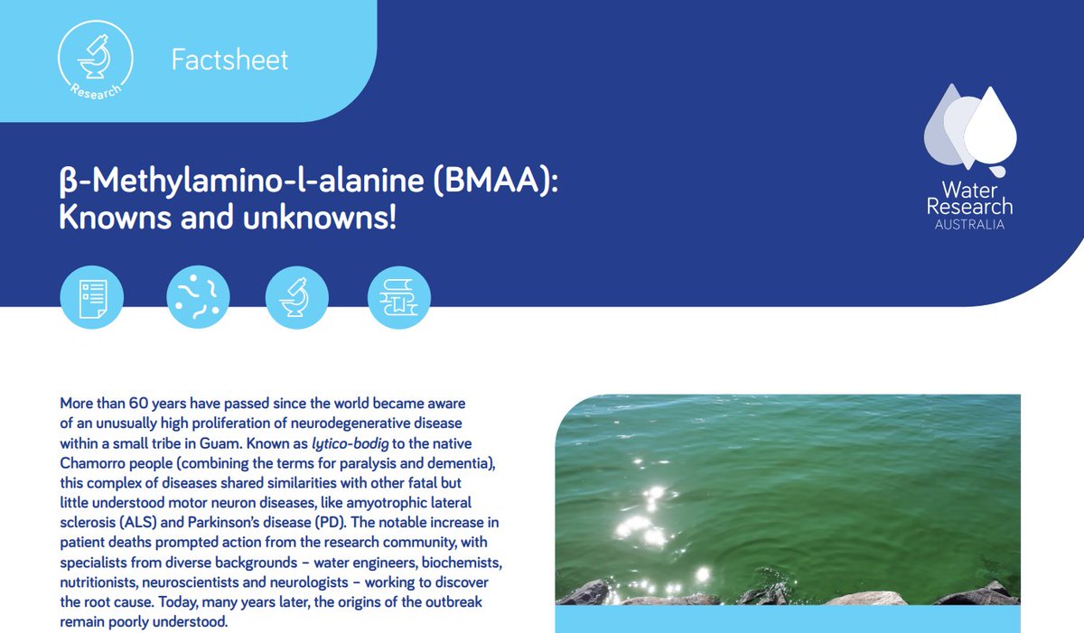 Arash Zamyadi tweet media