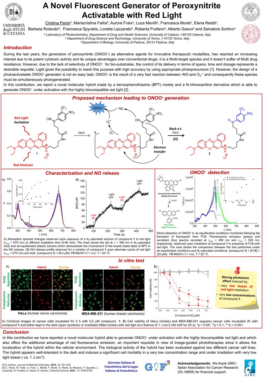 Cristina Parisi (@_cristinaparisi) on Twitter photo It is my pleasure to share my poster contribution at <a href="/2021_GIF2/">Giornate Italiane di Fotochimica del GIF</a>.
In this work, we have developed a novel molecular hybrid able to generate peroxynitrite under activation with the highly biocompatible red light. It is my pleasure to share my poster contribution at <a href="/2021_GIF2/">Giornate Italiane di Fotochimica del GIF</a>.
In this work, we have developed a novel molecular hybrid able to generate peroxynitrite under activation with the highly biocompatible red light.