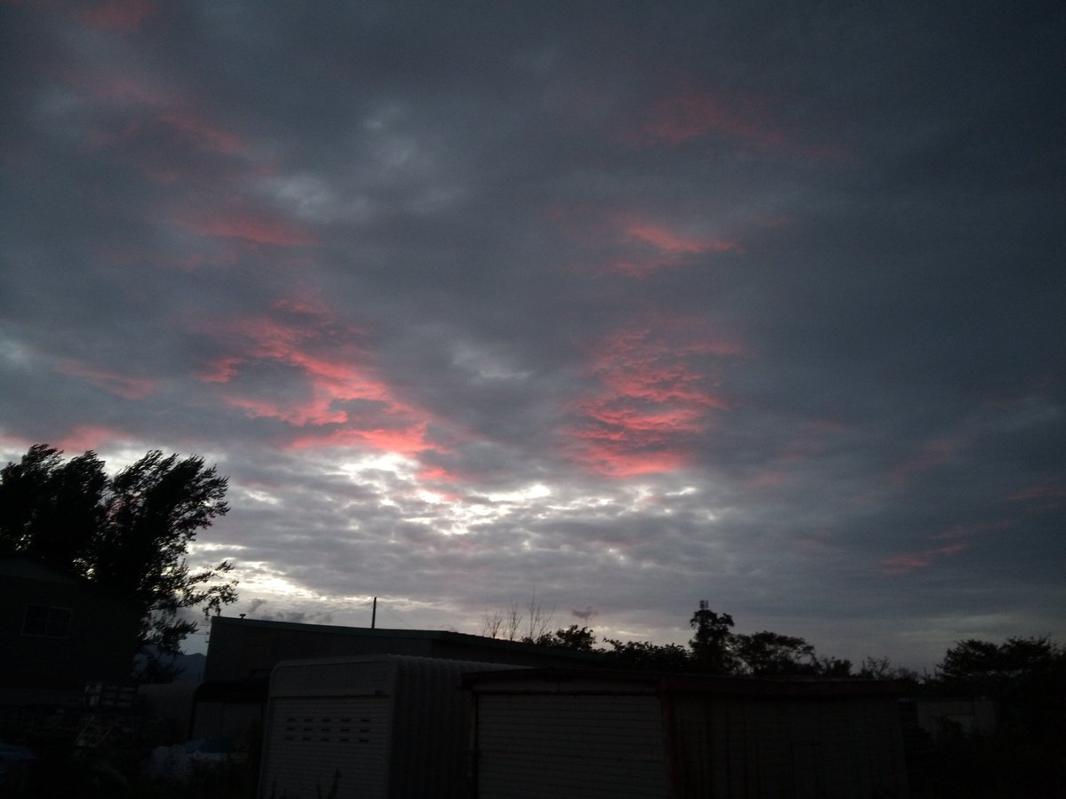 Top Tweets For 手稲前田 Twstalker