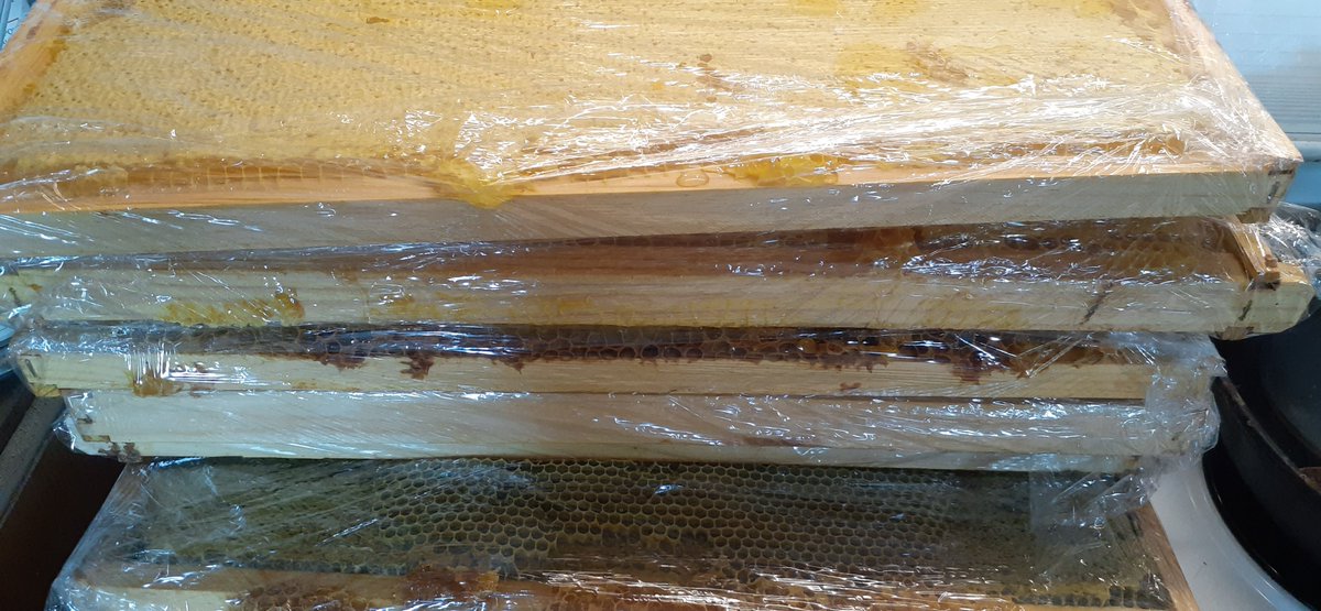 BacktoRealityNS's tweet photo. Sweet dreams are made of this. 🎶🎵
More for the freezer until our friends have their honey extractor set up, and then the bottling party commences. :) 
20+ lbs of honey.
#novascotia #honey #bees #naturesgift https://t.co/4AtV7z6tjY