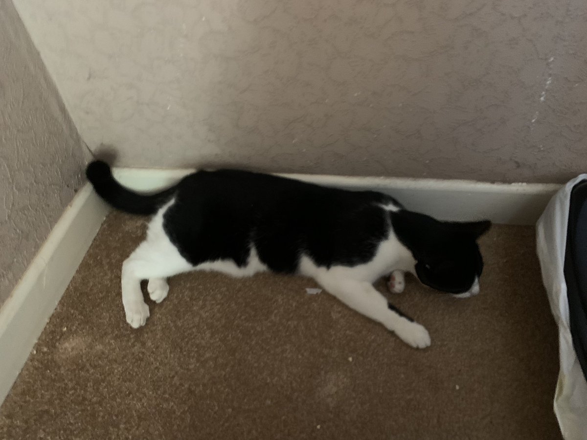 Lizzie 🧵🏳‍🌈 tweet media