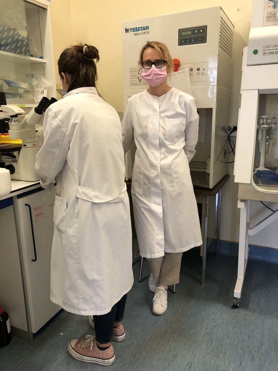 NevzorovaYulia's tweet photo. Science 🧪= sharing the experience = cooperation. Today we had a very nice and friendly visitor from the lab of @chantar_m. 🤞🏻 for future experiments @CUBEROlab https://t.co/4MYxQ7EfV0