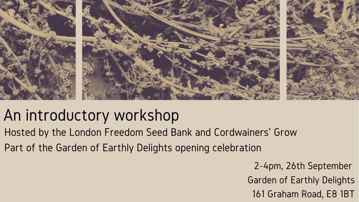 Join us this weekend for an introductory workshop to #savingseed with @CordwainersGrow at the launch of the #GardenOfEarthlyDelights in Hackney!

It will be hosted by network-member Patrick McCabe, feature seed stories/ poems &amp; some seeds to swap.  bit.ly/2VZXSPO
