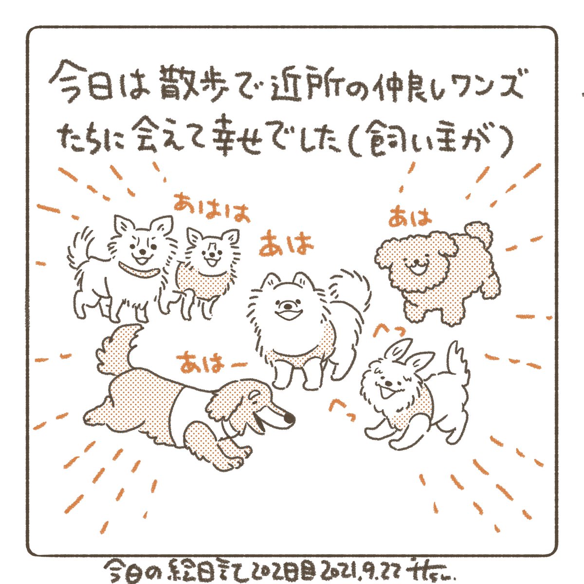 近所では仲良くしてくれる人(犬)が多くてありがたい。散歩時間が被ると犬の幼稚園みたいになるのが微笑ましい
We met some Ito's friends while taking Ito for a walk. All of them are so friendly :) Cute! 