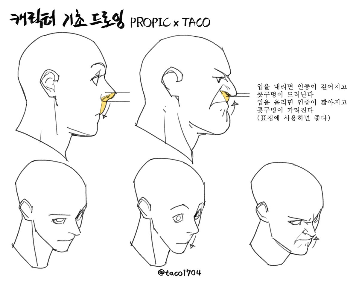 입을 내리면 인중이 길어지고 입을 올리면 인중이 짧아지면서 콧구멍이 보이는 범위 변화가 생긴다(표정 변화에 사용하면 좋다) 