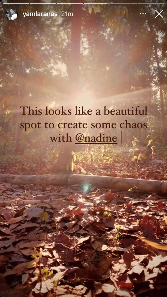 JADINE NATION tweet media