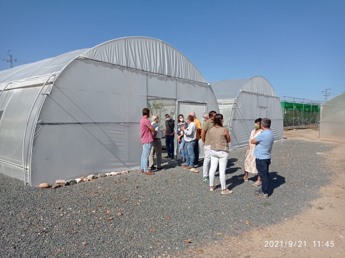 IfapaOlivar's tweet photo. Ayer recibimos a los alumnos del Curso: Riego y fertirrigación en olivar de @IfapaJunta, impartido por @Ana90441588. Se visitaron algunos ensayos en Alameda del Obispo y se hicieron prácticas con el Programa de cálculo https://t.co/rF5NtUJQYU https://t.co/eFzXeRF7cQ