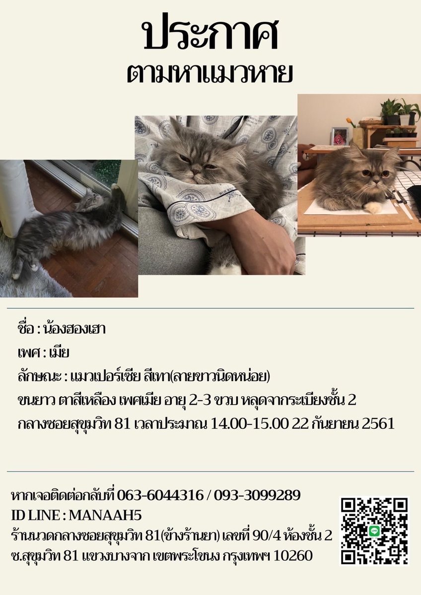ได้โปรดช่วยรีให้เราทีค่ะ​ น้องหายไป​วันนี้ตอนช่างมาซ่อมบ้าน​ น้องเป็นแมวสีเทามีชลายขาวหายไปแถวๆซอยสุขุมวิท​81 ​ปกติน้องไม่เคยออกไปไหนเลยขี้กลัวมาก​ รบกวนด้วยค่ะ😭​  #แมวหาย #ตามหาแมว #ทวิตดีคนรีน้อย