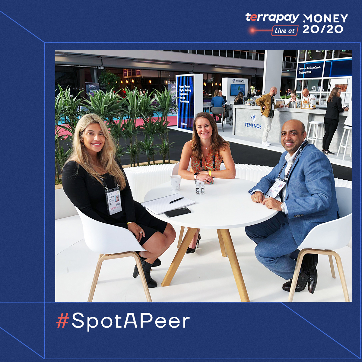 TerraPay tweet media