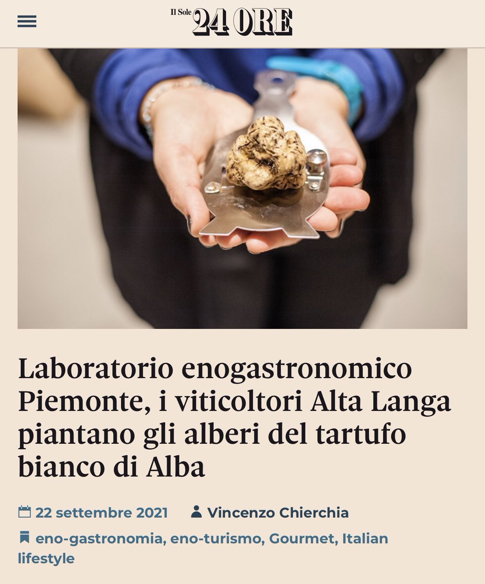 visitLMR's tweet photo. Laboratorio enogastronomico in Piemonte: i viticoltori Alta Langa piantano gli alberi del #tartufo bianco di Alba.
Articolo di @vincechierchia su @sole24ore
➡️ https://t.co/g7rmkVEfzE
#winetourism #altalanga #langhe #albatruffle https://t.co/rES26GvA6w