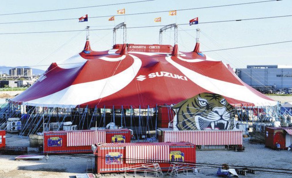 あおい インスタグラムでは動物を使用しないでとコメントだけが消されていて その後に動物を使用しないでとコメントが増えたらコメント欄ごと削除されていました これは木下大サーカスが動物虐待してるのを認知しているのと一緒です