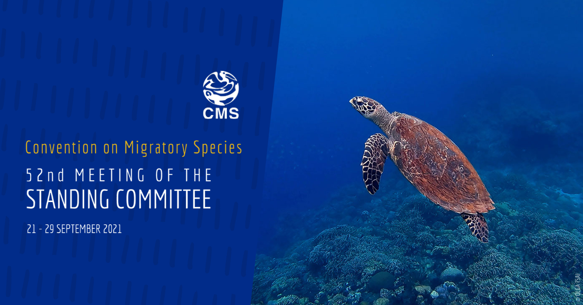 BonnConvention's tweet photo. #StC52 will largely focus on strategic and institutional matters such as the CMS Strategic Plan for Migratory Species 2015-2023.
https://t.co/rVUC2VjA9i https://t.co/c5qhzV4g1e