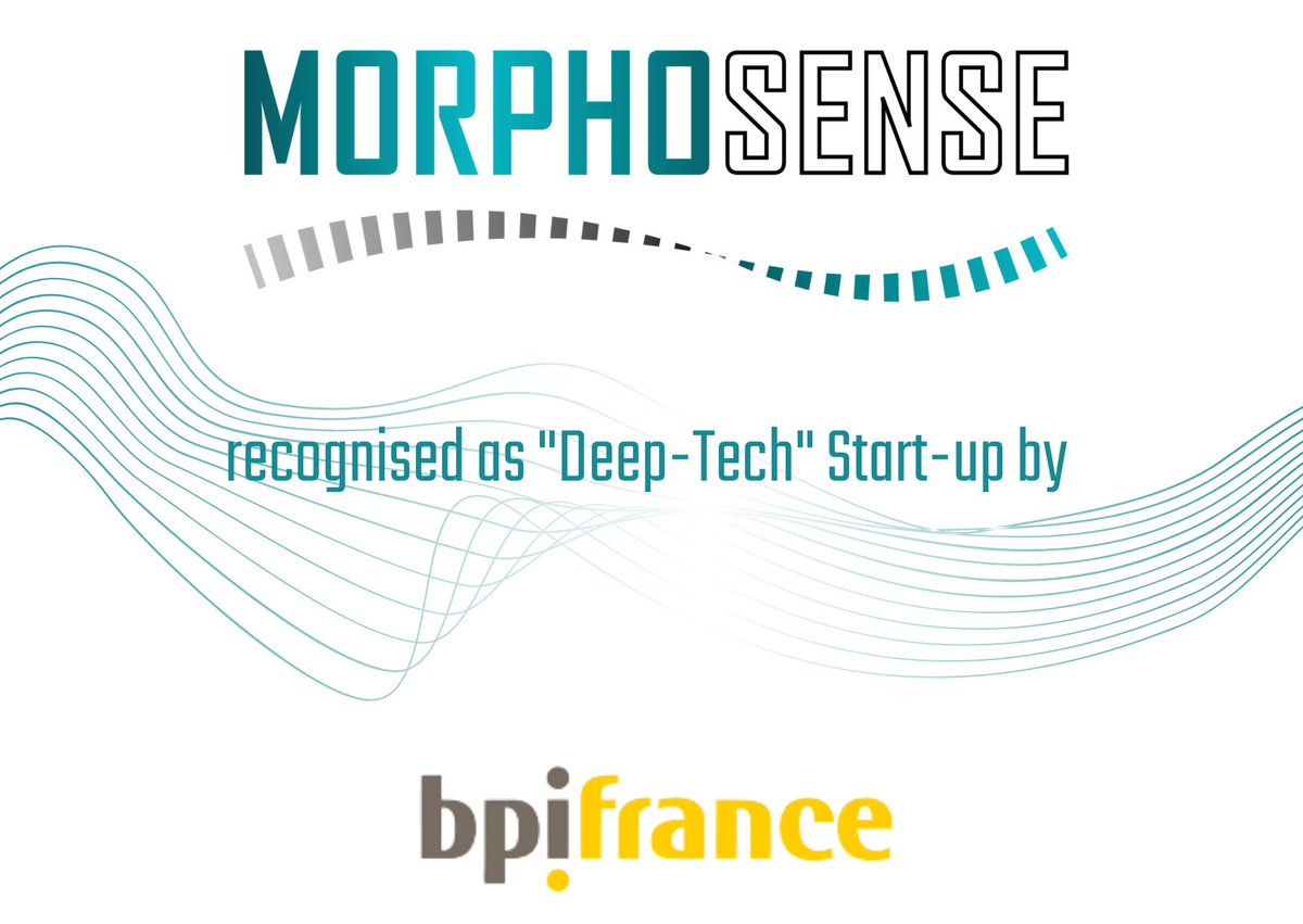 Morphosense tweet media