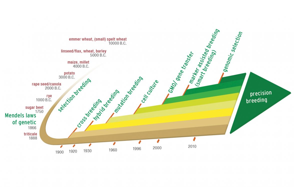 "New Breeding Techniques” (NBTs) are a group of recent innovations in plant breeding using molecular biology tools. It is becoming evident that NBTs can introduce advantageous traits for agriculture whit an enormous commercial potential to combat food insecurity. 🇦🇷 is a pioneer.